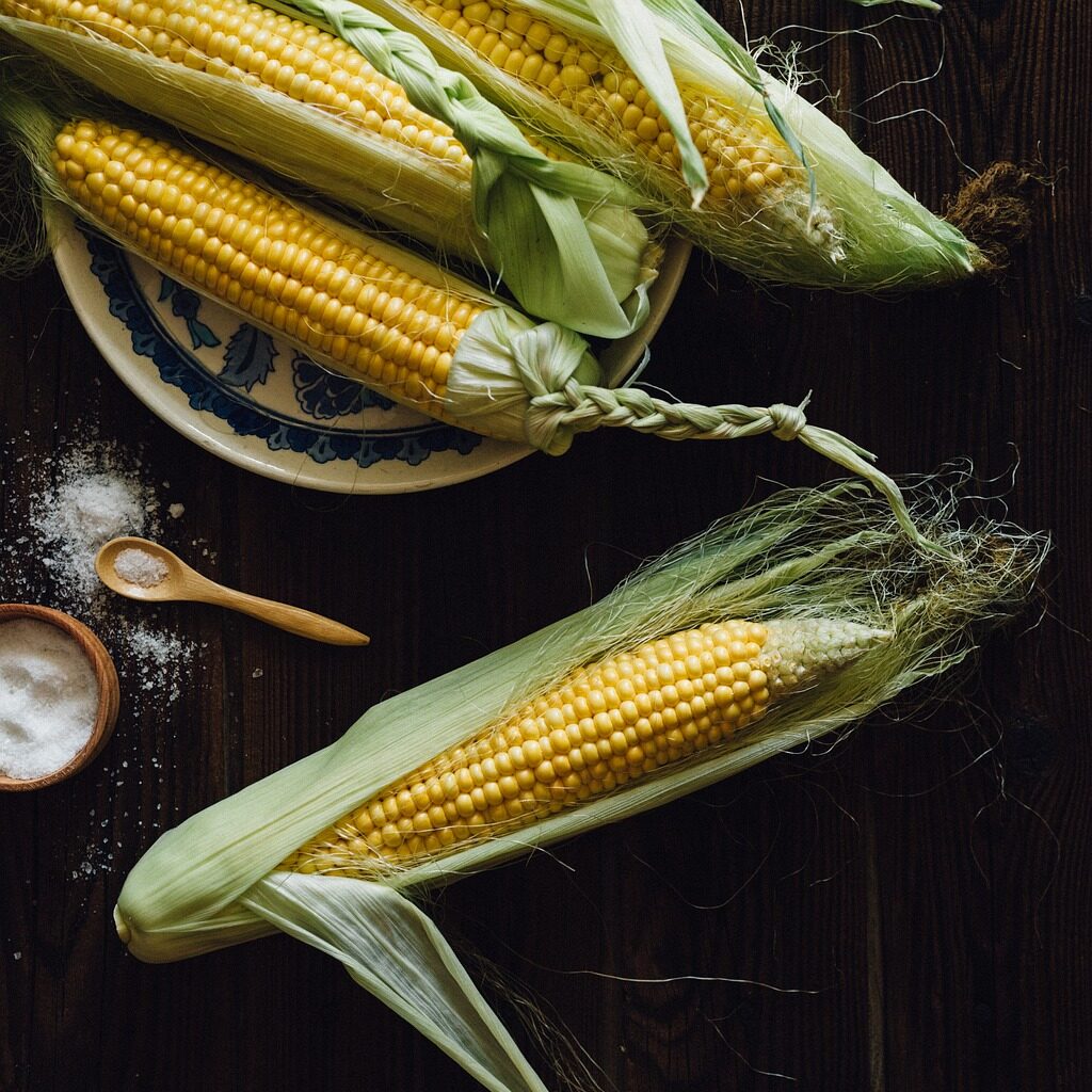 corn, cobs, ear-1898198.jpg